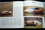 Bertone by Luciano Greggio