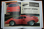 Lamborghini Countach by Toro Scatenato