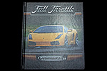 Lamborghini Full Throttle by Tracy Nelson Maurer