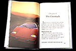 Lamborghinis by Michael Green