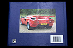 Lamborghini The legend by David Hodges