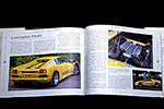 Lamborghini The legend by David Hodges