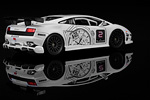 Lamborghini Gallardo Super Trofeo