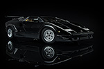 Lamborghini Countach 25th Anniversary