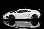 Lamborghini Gallardo GT3 FL2