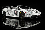 Lamborghini Gallardo Super Trofeo