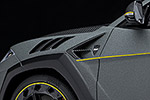 Lamborghini Mansory Venatus
