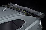 Lamborghini Mansory Venatus