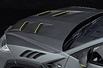 Lamborghini Mansory Venatus